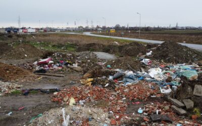 Szabadkát ellepi a szemét, az illetékesek pedig halottnak tettetik magukat