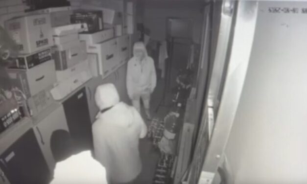 Betörtek a Vajdasági Újságírók Független Egyesületének irodájába (Videó)