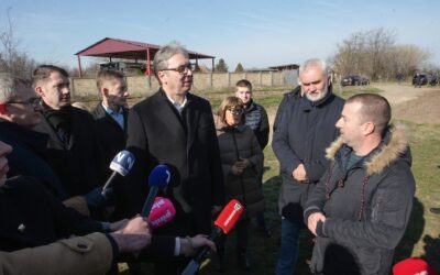 A szerb–magyar barátság kampánytémája De miért is kell(ene) kampányolni?