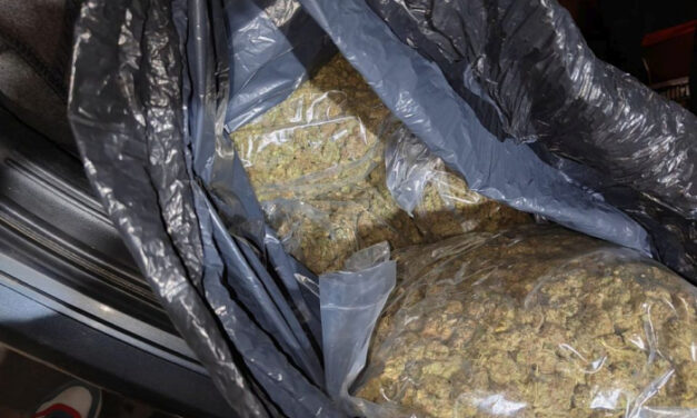 Óriási drogfogás Újvidéken