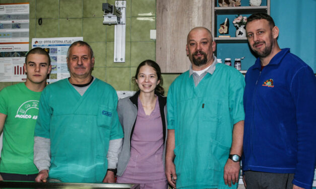 „Szívünket, lelkünket beletesszük az állatok gyógyításába”