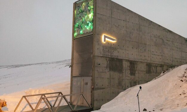 Ismét kinyitották az „ítéletnapi vetőmagbankot”