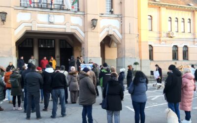 Magyarkanizsa is sétált (Videó)