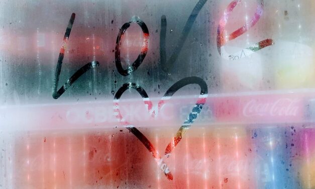 Ellopott egy komplett hűtővitrint