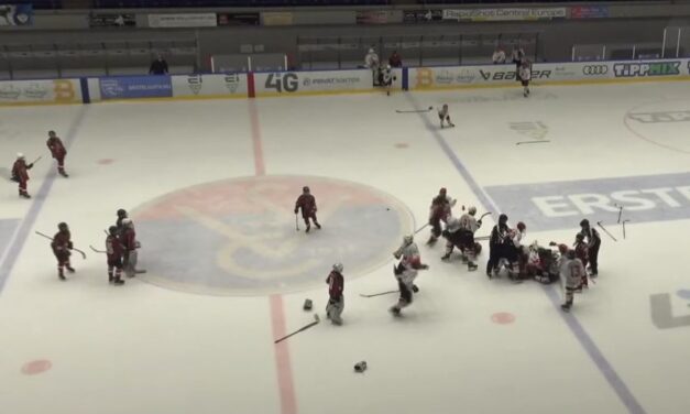 Tömegverekedés a szerb és a magyar gyerekek hokimeccsén (videó)