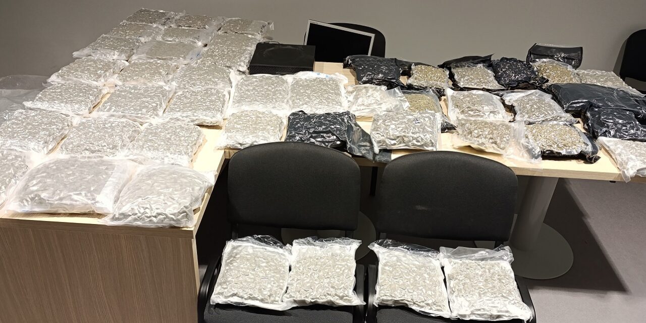 Teli bőrönd marihuánával bukott le egy nő a repülőtéren (Fotók)