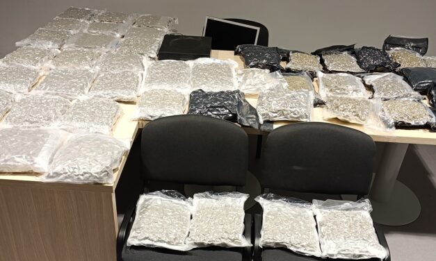 Teli bőrönd marihuánával bukott le egy nő a repülőtéren (Fotók)