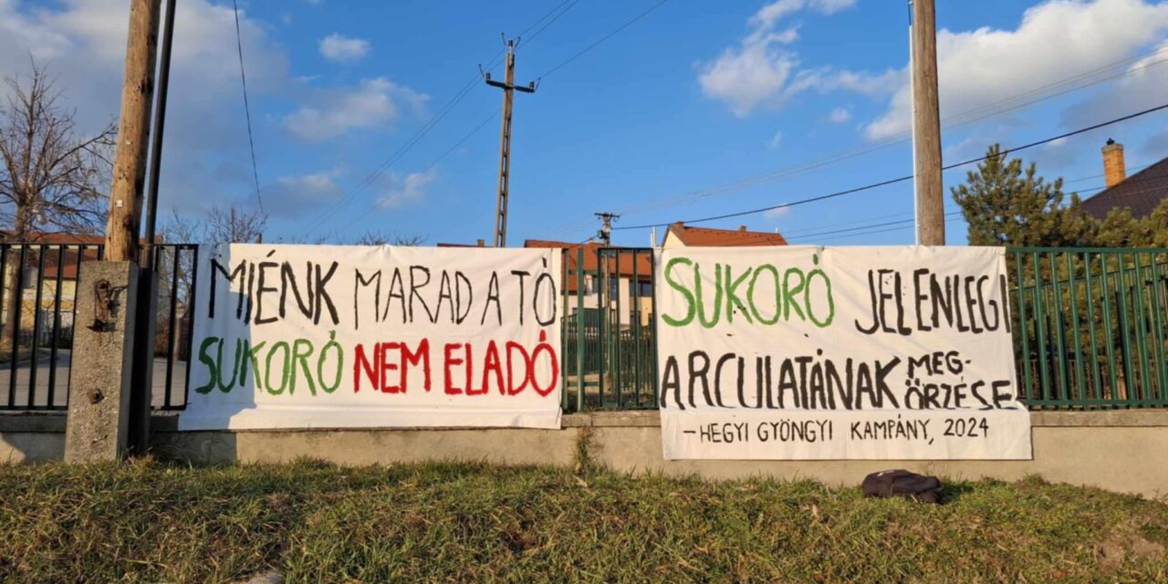 Üdvözlet a Velencei-tó partjáról és vissza