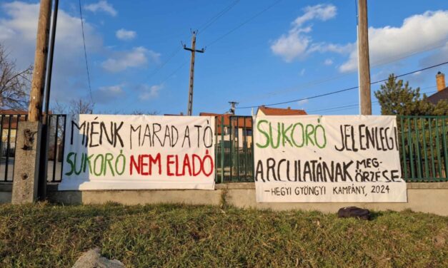 Üdvözlet a Velencei-tó partjáról és vissza