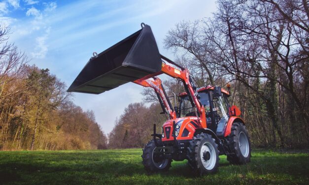 Homlokrakodók: a gazda legjobb barátai