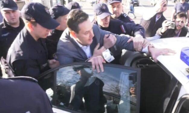 Elengedték Nemanja Šarovićot