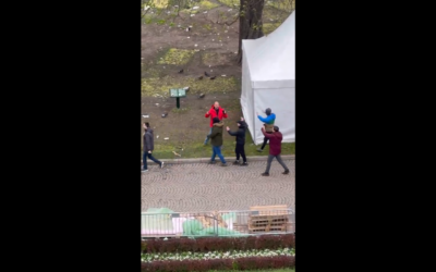 Szabadon engedték Željko Latast, akit ćacik támadtak meg a Pionír parkban