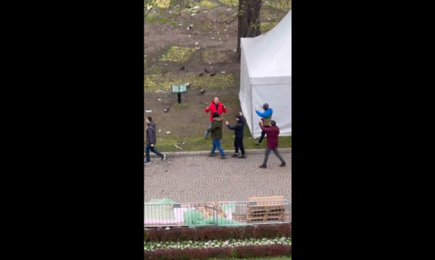 Gyorsan kiderült, ki kit (nem) támadott meg és (nem) fújt le paprikapsray-vel a Pionír parkban