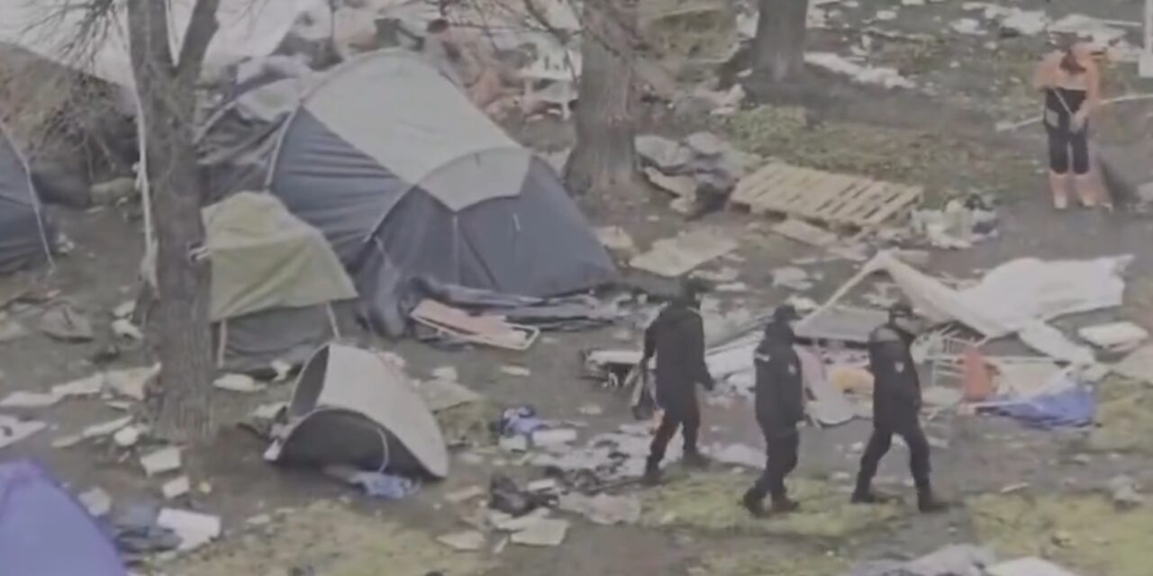 Kiürült Ćacilend, hazamentek a „tanulni vágyó egyetemisták”