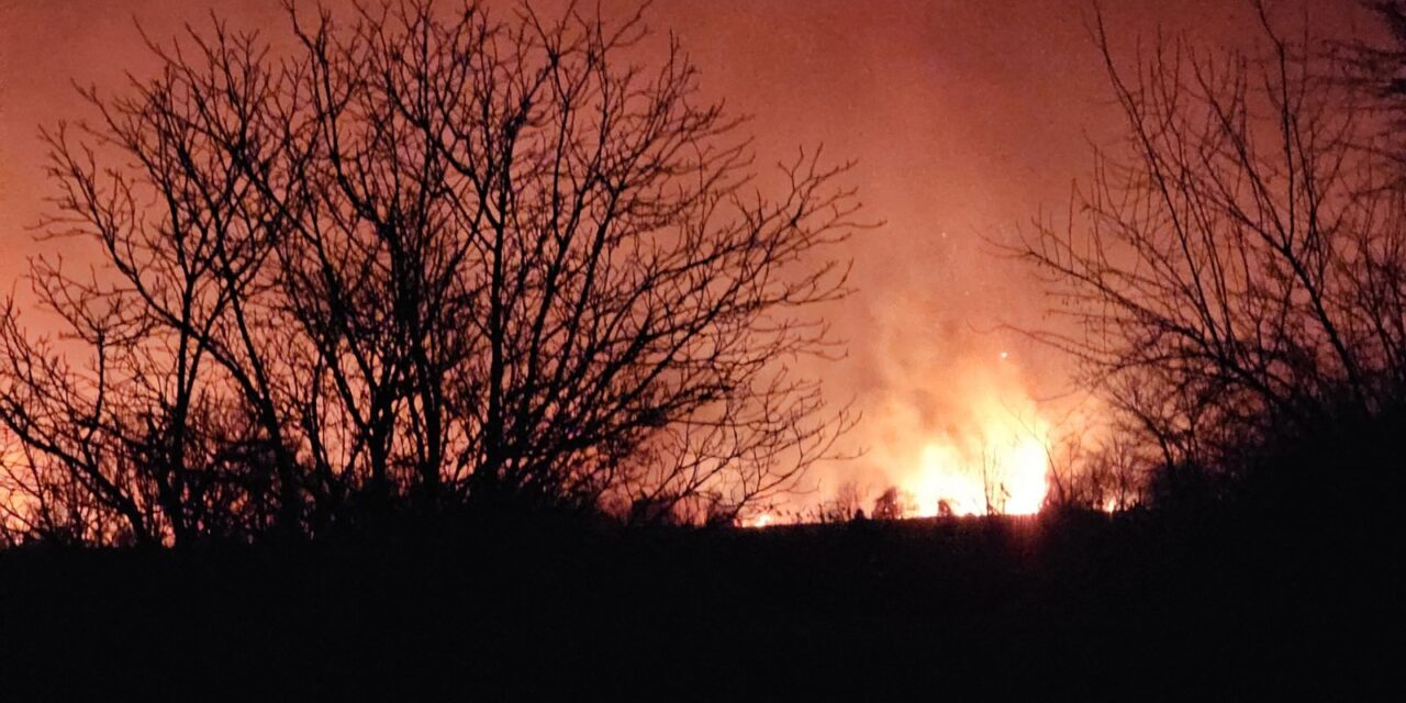 Ég a horgosi Fodor Major