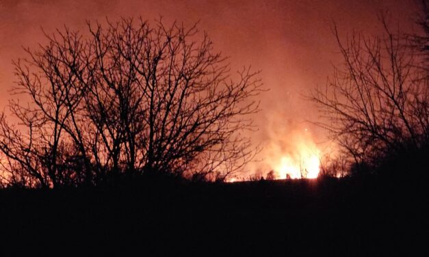 Ég a horgosi Fodor Major