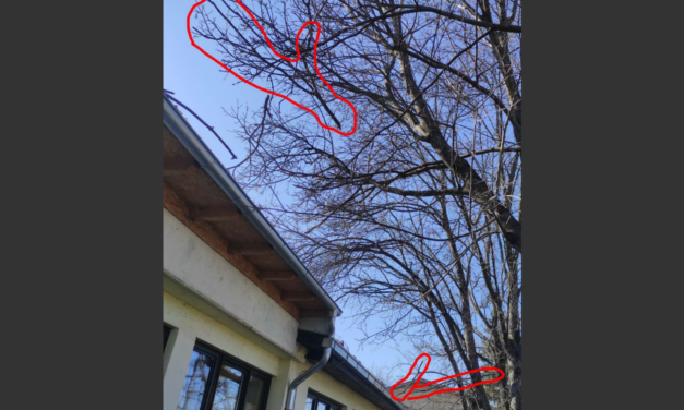 Meddig veszélyeztetik még a szabadkai óvodások életét? (Fotók)