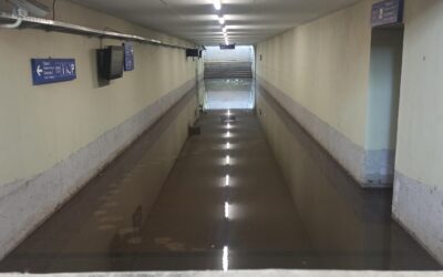 Használhatatlan a palicsi vasúti aluljáró, áll benne a víz
