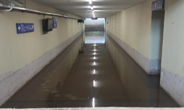 Használhatatlan a palicsi vasúti aluljáró, áll benne a víz