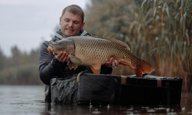 A pontymatracok és pontybölcsők kiválasztásának fortélyai