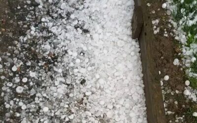 Húsz percen át esett dió nagyságú jég Szerémségben
