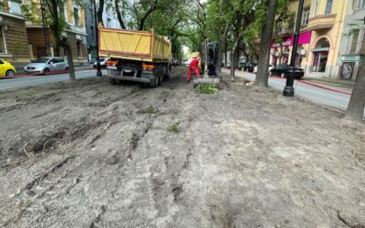 Felújítják a Petőfi Sándor utcában lévő parkot Szabadkán