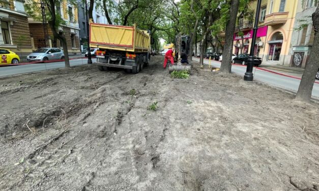 Felújítják a Petőfi Sándor utcában lévő parkot Szabadkán