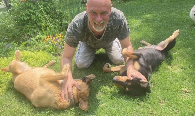 „Mindig is hittem a játék mágiájában”