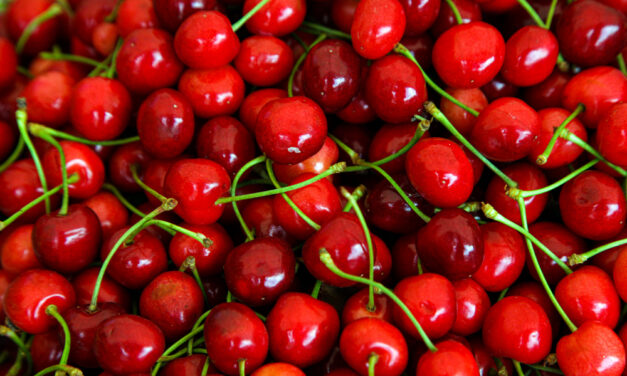 1500 dinárt is elkérnek a cseresznye kilójáért