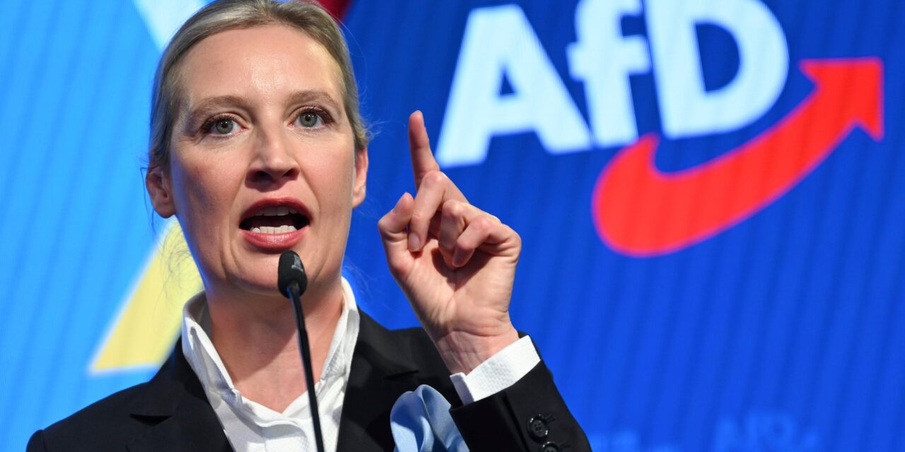 Hivatalosan is szélsőségesnek nyilvánították az AfD pártot
