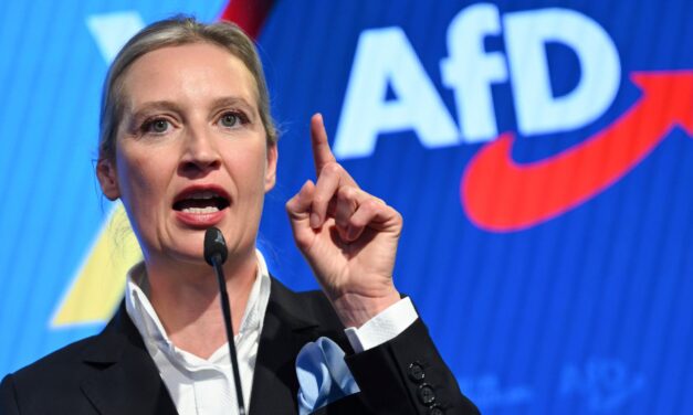 Hivatalosan is szélsőségesnek nyilvánították az AfD pártot