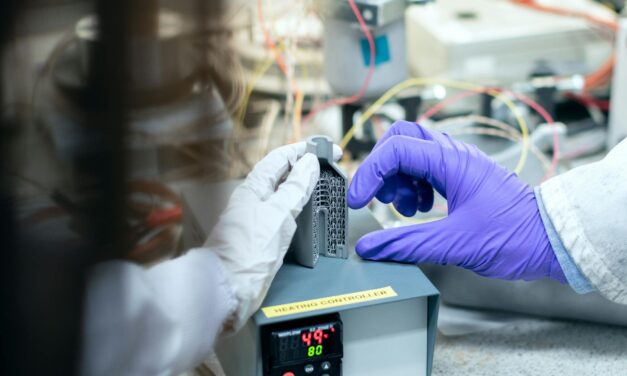 Jóváhagyták a szabadkai akkumulátorgyár projektjét