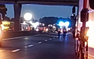 Csak kitalálta a súlyos balesetet okozó sofőr az őzről szóló történetet? Két halott és harmincegy sérült a buszbalesetben