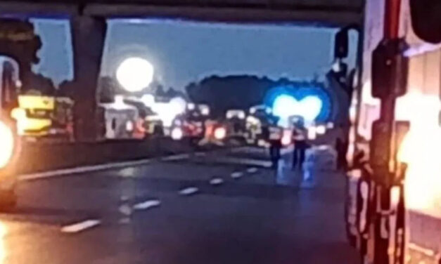 Csak kitalálta a súlyos balesetet okozó sofőr az őzről szóló történetet?