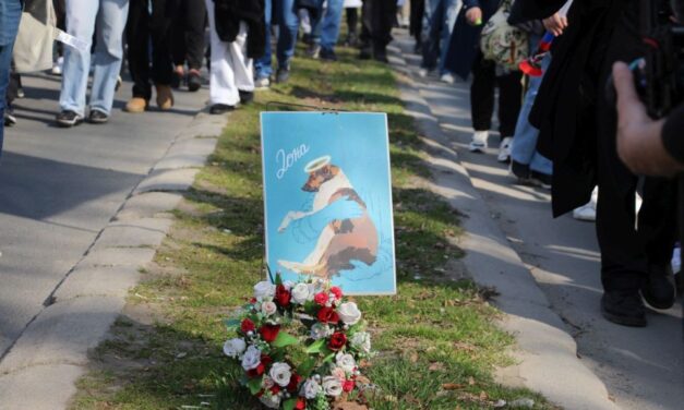 Eljárás indult a tüntetésen meggyilkolt újvidéki kutya ügyében