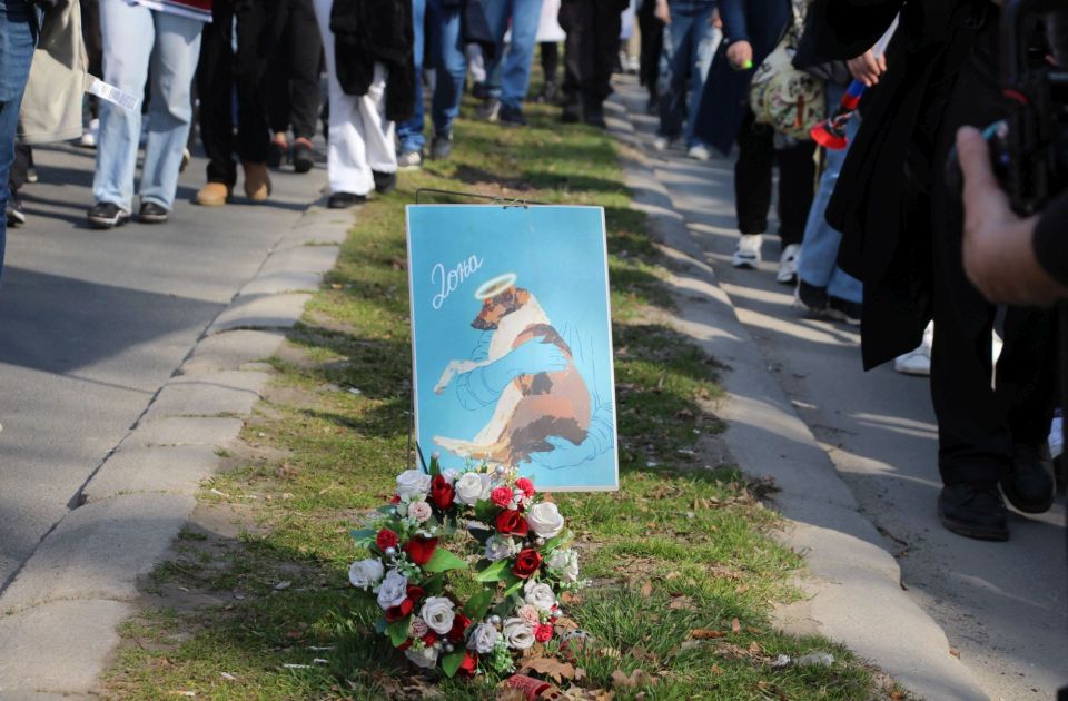 Eljárás indult a tüntetésen meggyilkolt újvidéki kutya ügyében