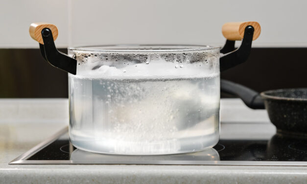 Ételízek és vízminőség: hogyan befolyásolja a főzést a szűrt víz?