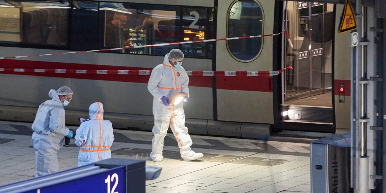 A támadás előtti napon engedték ki a pszichiátriáról a nőt, aki a hamburgi pályaudvaron késelt