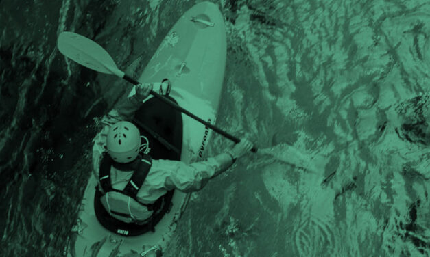 Kézikönyv segíti a vajdasági sportegyesületeket a környezetbarát boldogulásban