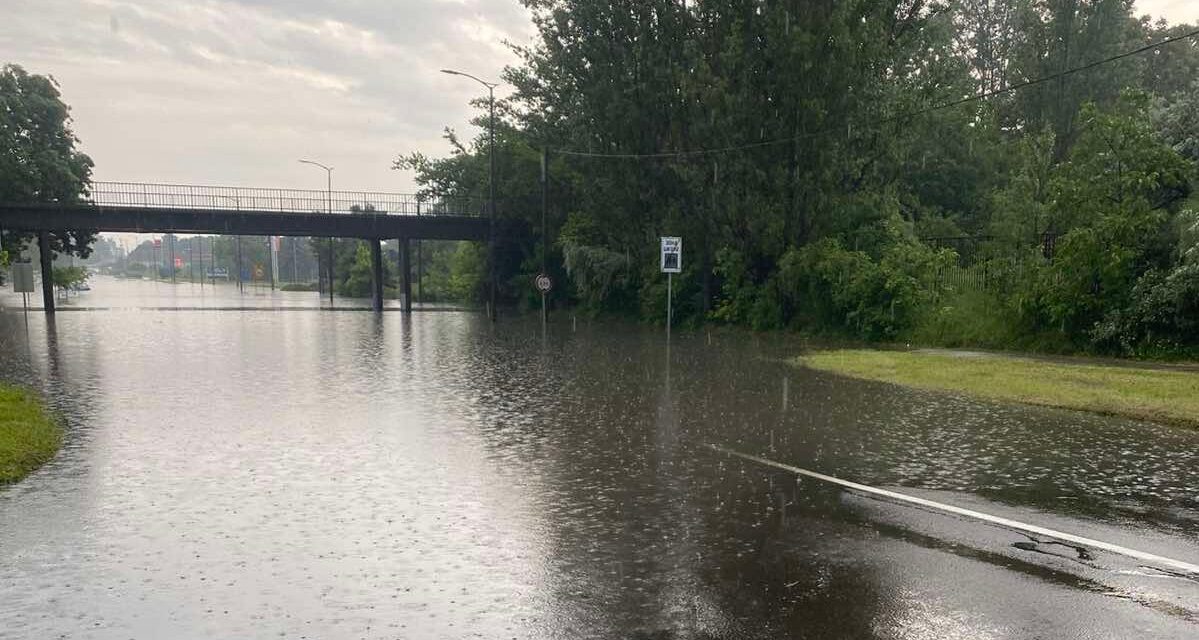 A csatorna nem elnyeli, hanem szennyvízzel együtt böfögi vissza a csapadékot (Videó)