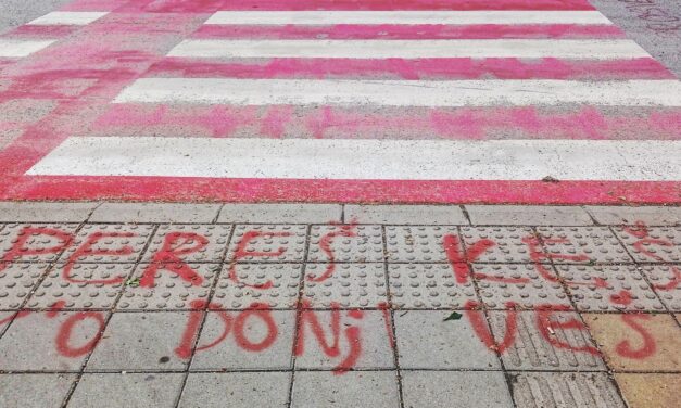 Okoszebra = pénzmosoda?