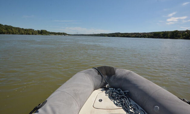 Orvhalászokat csíptek el a Dunán