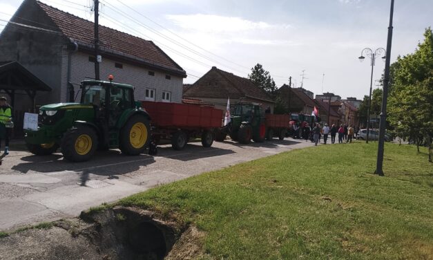Egyre közelednek Szabadkához a gyalogló egyetemisták, este nyolckor ünnepélyes fogadás a főtéren