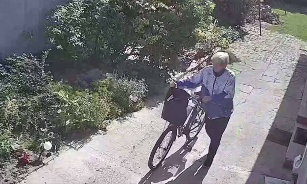 Minden fontos információ egy helyen az eltűnt adai asszonnyal kapcsolatban