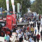 Nem költözik Belgrádba az újvidéki mezőgazdasági vásár