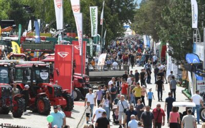 Nem költözik Belgrádba az újvidéki mezőgazdasági vásár