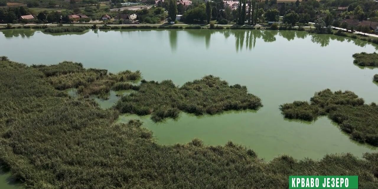 Huszonnyolc millióból épül parkoló Palicson és Törökbecsén