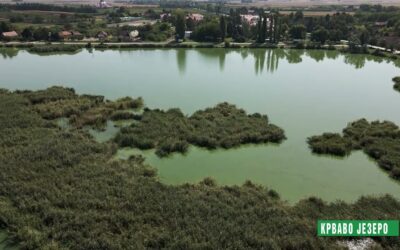 Huszonnyolc millióból épül parkoló Palicson és Törökbecsén