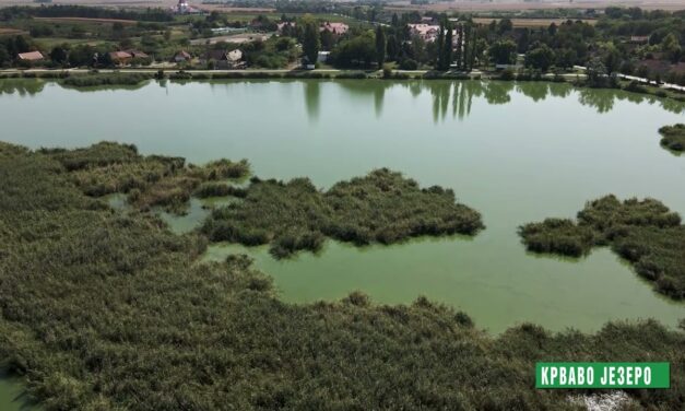 Huszonnyolc millióból épül parkoló Palicson és Törökbecsén
