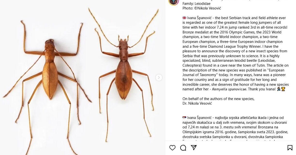 Rovart neveztek el Ivana Španovićról